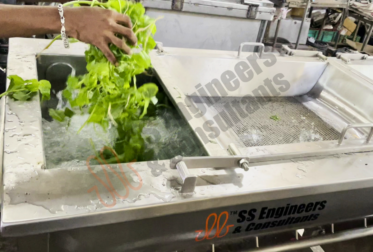 Leafy Green Vegetable Washing Line